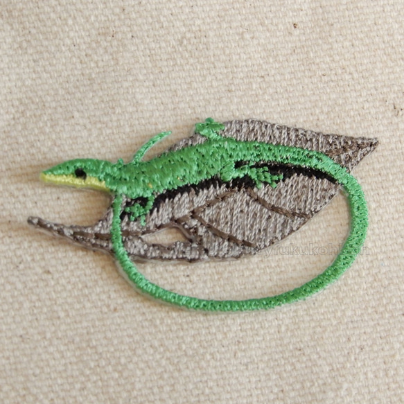 サキシマトカゲ　緑のトカゲ　蜥蜴　爬虫類　トカゲ　lizard 6枚目の画像