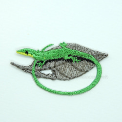 サキシマトカゲ　緑のトカゲ　蜥蜴　爬虫類　トカゲ　lizard 3枚目の画像