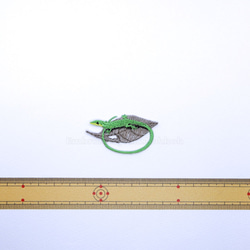 サキシマトカゲ　緑のトカゲ　蜥蜴　爬虫類　トカゲ　lizard 2枚目の画像