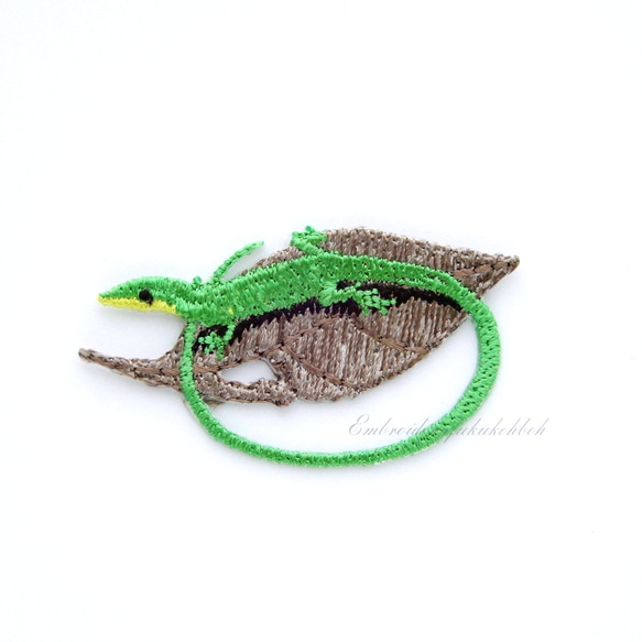 サキシマトカゲ 緑のトカゲ 蜥蜴 爬虫類 トカゲ lizard ワッペン