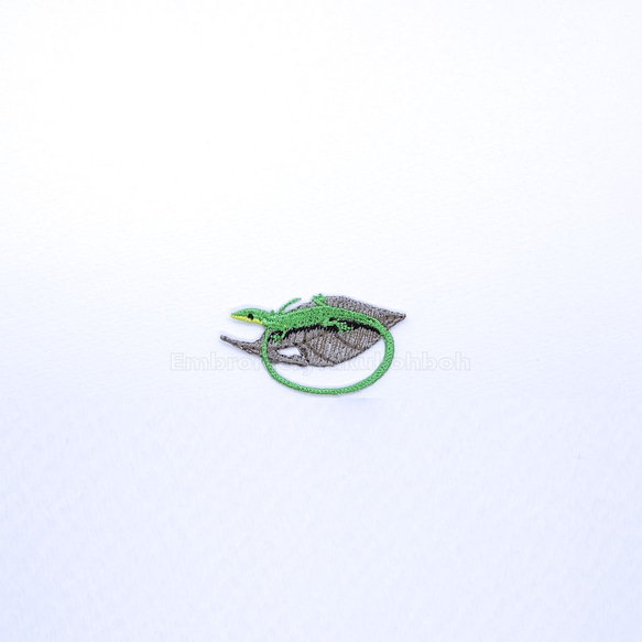 サキシマトカゲ　緑のトカゲ　蜥蜴　爬虫類　トカゲ　lizard 1枚目の画像