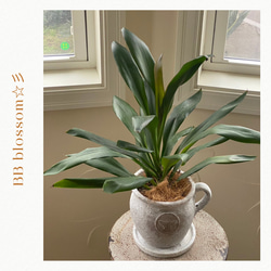 a42dacc48a6240af7856afe327e668