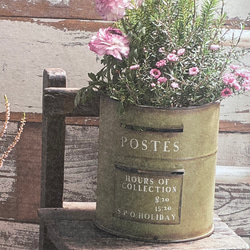 《可愛いポストハング型 ブリキ鉢 》 観葉植物 多肉植物 お花の寄せ植えに ガーデニング ブリキ缶 アンティーク 188 2枚目の画像