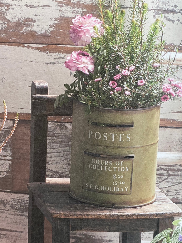《可愛いポストハング型 ブリキ鉢 》 観葉植物 多肉植物 お花の寄せ植えに ガーデニング ブリキ缶 アンティーク 188 2枚目の画像