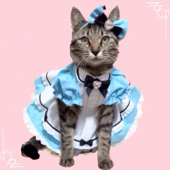 水色トランプ柄リボンカチューシャ〜猫のカチューシャ 3枚目の画像