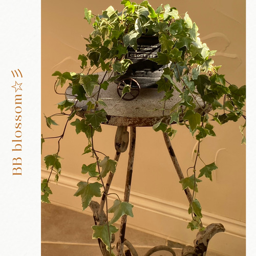 可愛い家型インテリア置物 ブリキ屋根 グリーン 可愛い家型インテリア