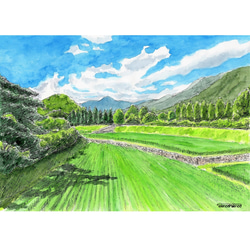 田植の季節(水彩画 2022年作品) 田植の季節(水彩画 2022年作品) 絵画
