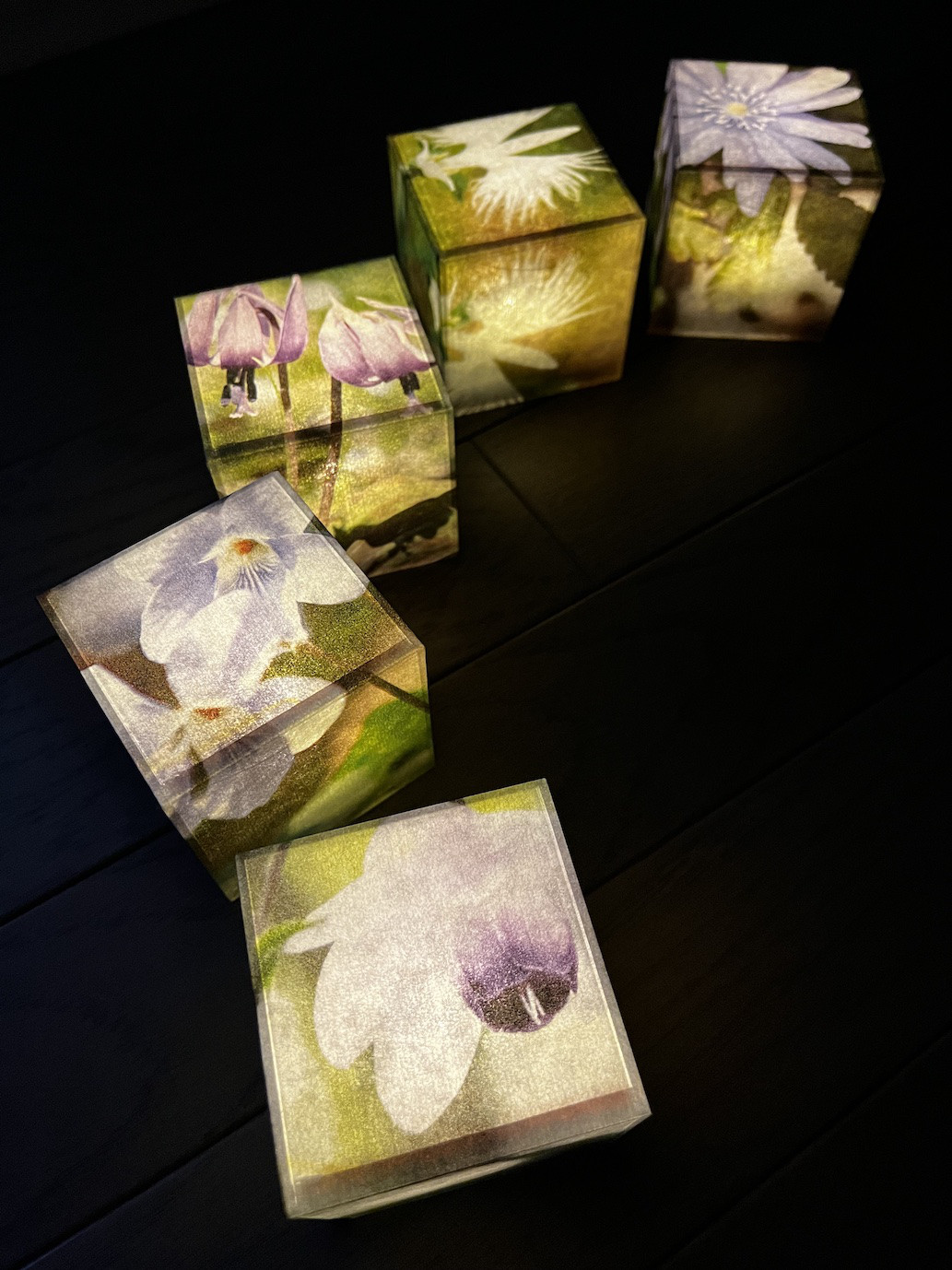 山野草（カタクリ、スミレ、レンゲショウマ、サギソウ、イチゲ）（充電式）