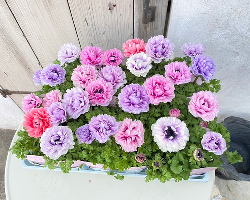 9bb14e08a5cfee1cb900f7a08bce42