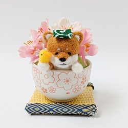 ティーカップ トイプードル』羊毛フェルト お誕生日 お祝い 母の日 犬