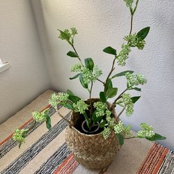 アートグリーンbyとんぼの販売中作品一覧 | ハンドメイド通販・販売の