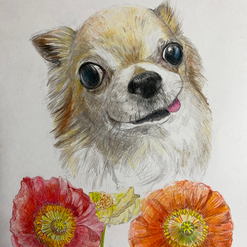 動物の色鉛筆画 イラスト あかね工房 通販 15516335｜Creema(クリーマ)