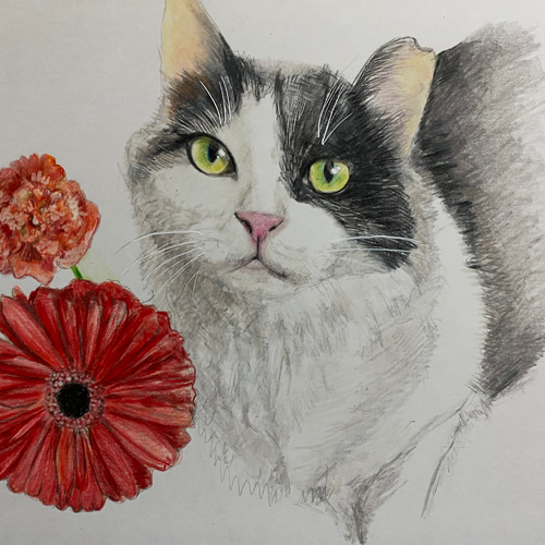 イラストオーダー受付 動物 色鉛筆 イラストオーダー受付 動物 色鉛筆 イラストオーダー受付 動物 色鉛筆