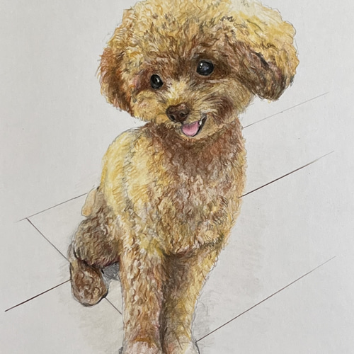 イラストオーダー受付 動物 色鉛筆 イラストオーダー受付 動物 色鉛筆 イラストオーダー受付 動物 色鉛筆