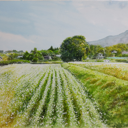 絵画 水彩画 風景画 画題「停車し眺めた風景」 絵画