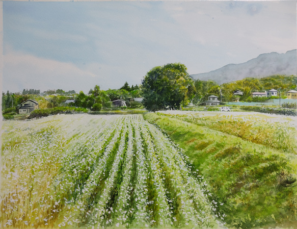 絵画　水彩画　風景画　画題「停車し眺めた風景」 1枚目の画像