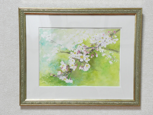 絵画　水彩画　風景画　画題「桜の花」 2枚目の画像