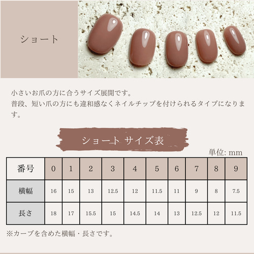 サイズ確認用チップ ネイルチップ（つけ爪） atelie nougat 通販 
