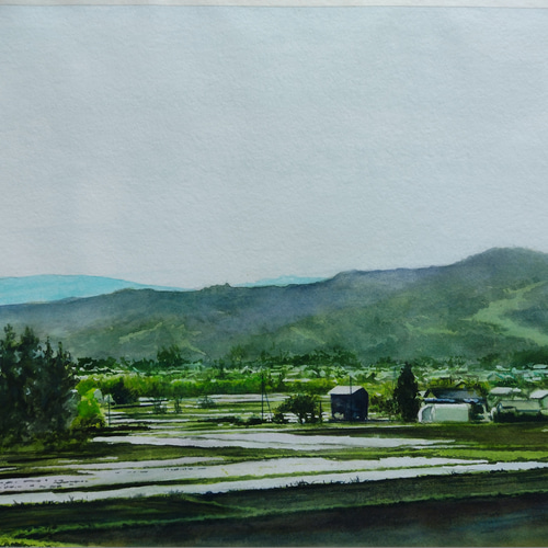 絵画 水彩画 風景画 画題「早朝の魚沼」 絵画 yamakasumi56 通販