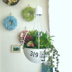 【吊るして飾る♪】電球型ポットのフェイクグリーン寄植え(大)　造花　人工観葉植物　フェイク多肉　ハンギング　壁掛け 8枚目の画像