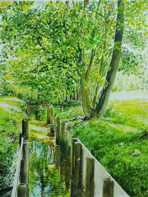 絵画 水彩画 風景画 画題「水路を描く緑」 絵画 yamakasumi56