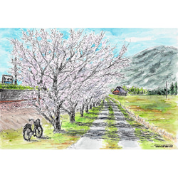 原画一点物 「あぜ道に立つ一本の木」 ＜ペンスケッチ＋透明水彩