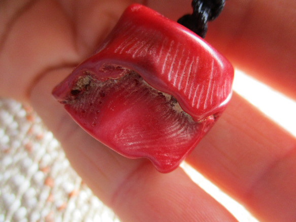 原木の山珊瑚：マウンテンコーラル ネックレス・ペンダント 願い石結