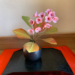 粘土の花　ヒマラヤユキノシタ 2枚目の画像