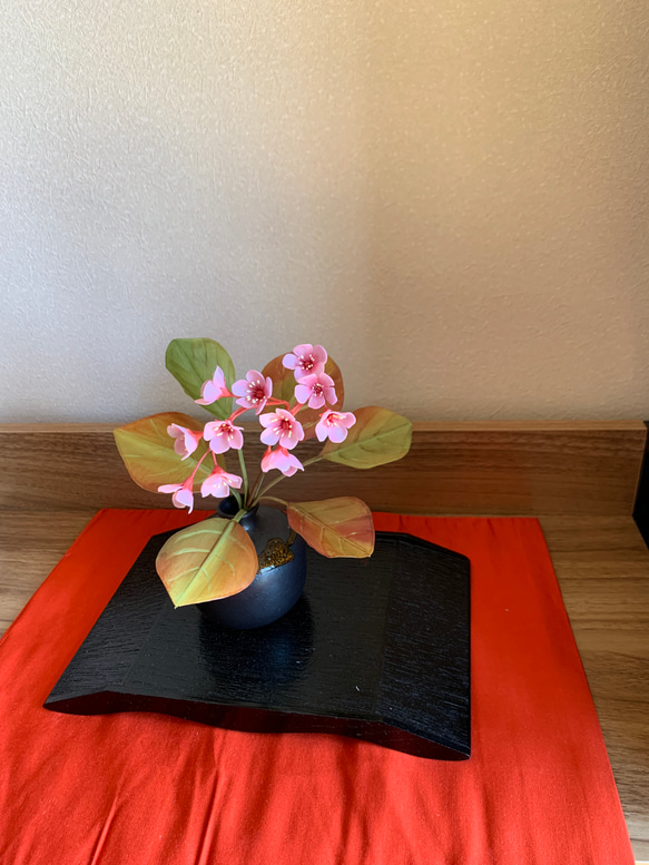 粘土の花　ヒマラヤユキノシタ 1枚目の画像