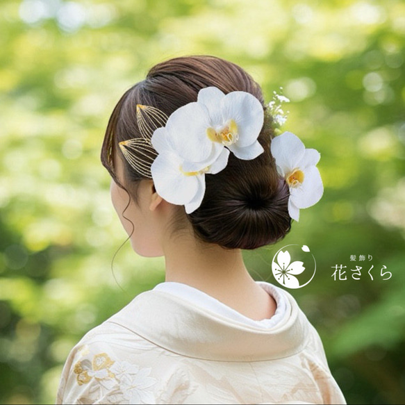 凛と咲く胡蝶蘭の髪飾り① 結婚式 成人式 胡蝶蘭 和装 振袖 卒業式 白