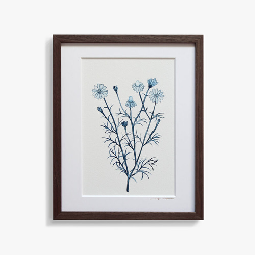 水彩画 カモミール/Chamomile 絵画 alayotto 通販 15522134