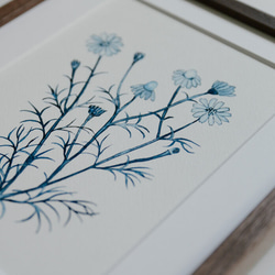 水彩画 カモミール/Chamomile 絵画 alayotto 通販 15522134｜Creema