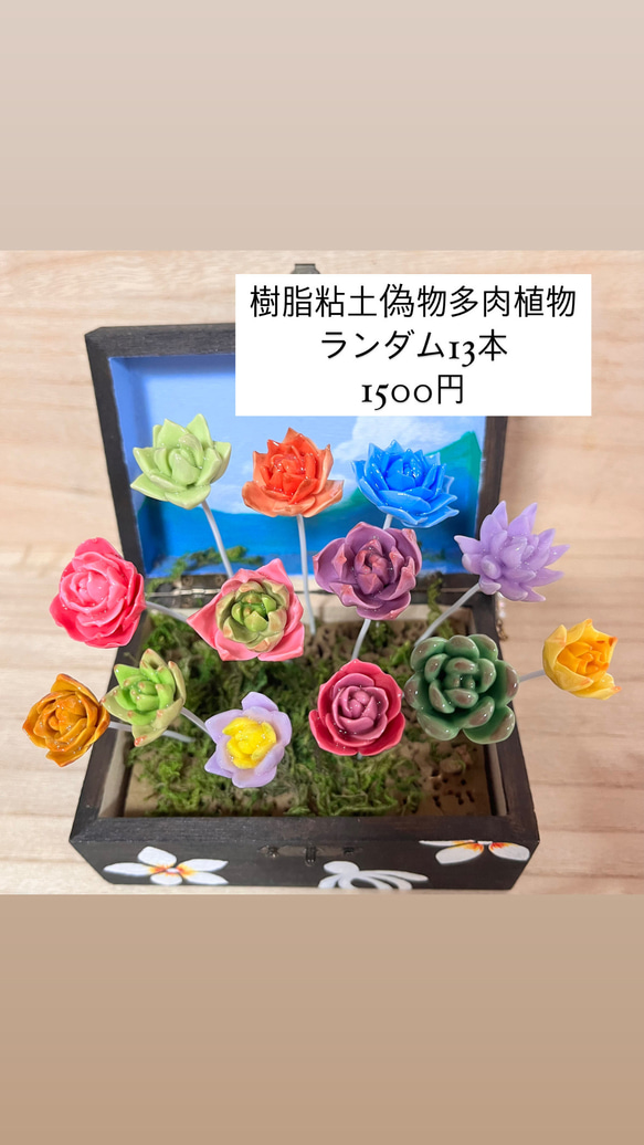 そのまま飾れる〜多肉植物寄せ植え(樹脂粘土レジン)多肉植物樹脂
