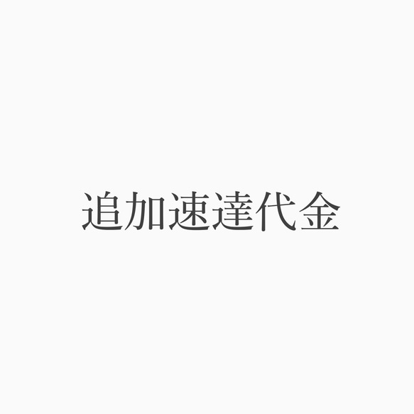 【きく様専用】速達代金追加分 1枚目の画像