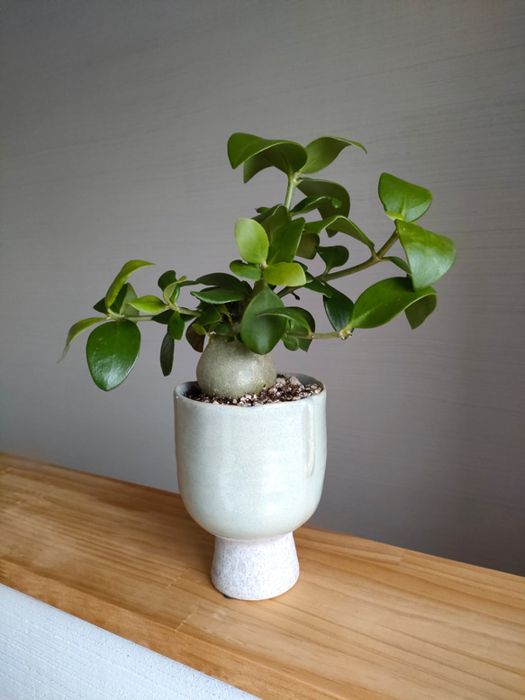 Raw Life Factory 鉢3点セット 2点セット】 RAW LIFE FACTORY 三馬鹿 海