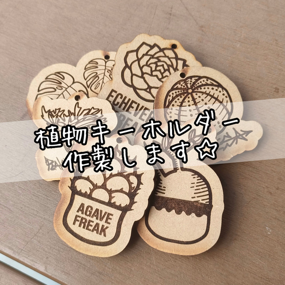 多肉植物キーホルダーシリーズ グラキリス アガベ 観葉植物 塊根植物