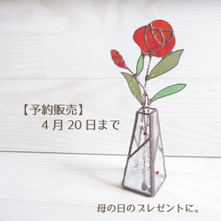 ☆送料無料☆ボケ放春花夢絵巻大きな盆栽2本植え☆Springフェア
