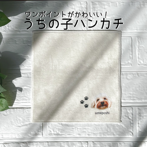 うちの子オーダー作品例②ティッシュケース】