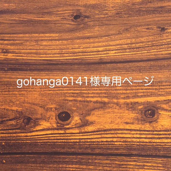 gohanga0141様専用ページです 1枚目の画像