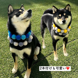 犬 ネックレス 首輪 2.5cm S M 日本製 犬 猫 首輪 毛糸 軽い フェルトボール シュシュ 10枚目の画像