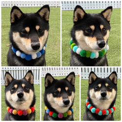 犬 ネックレス 首輪 2.5cm S M 日本製 犬 猫 首輪 毛糸 軽い フェルトボール シュシュ 9枚目の画像