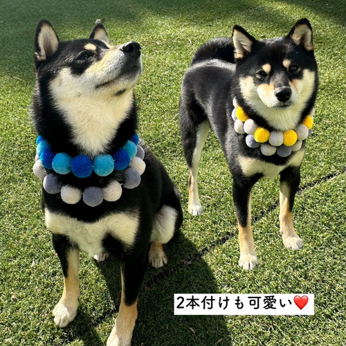 犬 カラフル ネックレス 首輪 2.5cm L XL 日本製 犬 猫 首輪 毛糸 軽い