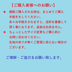 入園・入学準備6点セット（レッスンバック・体操着入れ・上履き入れ・お弁当箱入れ・コップ入れ・ランチョンマット） 16枚目の画像