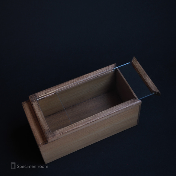 シンプルな標本箱。 5枚目の画像