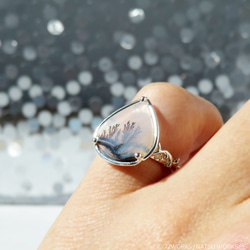 デンドリティック アゲートリング / Dendritic Agate Ring J 7枚目の画像