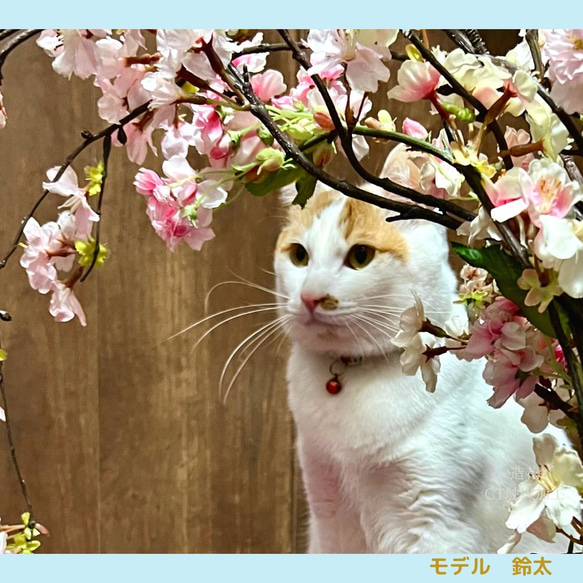 ペットのお花見写真を撮ろう！枝垂れ桜のフラワースタンド  造花 背景 撮影セット 桜 さくら サクラ 犬 猫 ねこ いぬ 7枚目の画像