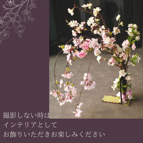 ペットのお花見写真を撮ろう！枝垂れ桜のフラワースタンド 造花 背景
