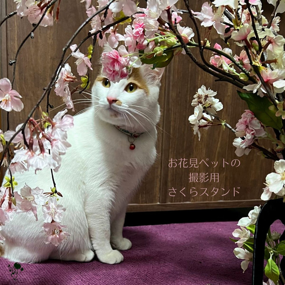 ペットのお花見写真を撮ろう！枝垂れ桜のフラワースタンド  造花 背景 撮影セット 桜 さくら サクラ 犬 猫 ねこ いぬ 2枚目の画像