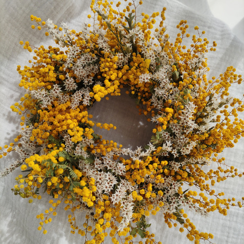 春色ミモザのドライフラワーリース リース cocosana dryflower 通販