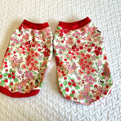 犬服 ジャガードニット生地/DS.M ペット服・アクセサリー K☆miyu 通販